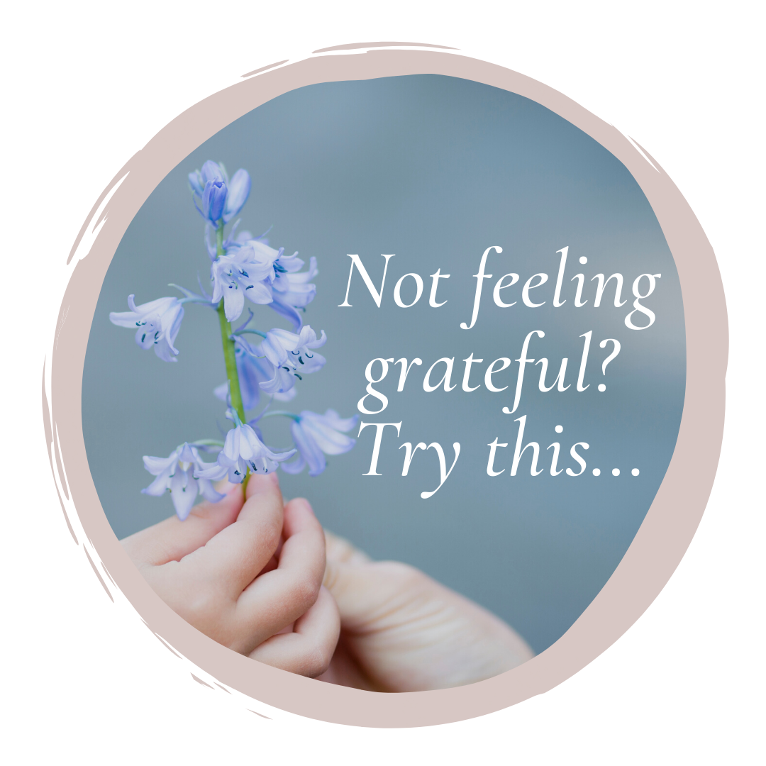 not-feeling-grateful-try-this-jennifer-carey-ed-s-lmhc-helping-you-heal-learn-and-grow